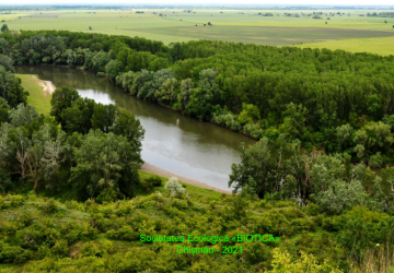 Atlasul  speciilor la nivel internațional și național din flora  și fauna Zonei Ramsar ”Nistrul de Jos” , Republica  Moldova