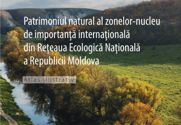 Patrimoniul natural al zonelor nucleu de importanță internațională REN