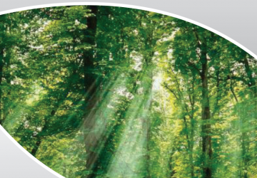 Sectorul forestier  și serviciile ecosistemice - ENPI FLEG II  în Republica Moldova