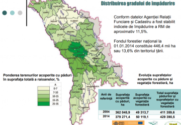 Rezultate primare privind  evaluarea veniturilor ratate de la  exploatarea forestieră ilegală şi  braconaj