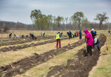 Plantăm fapte bune la Bălăbănești