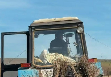 Finalizarea acțiunilor de plantare a arborilor în satul Talmaza