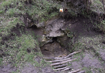 Solicitare oferte de preț