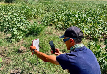 Monitorizarea plantațiilor forestiere din zona Nistrului de Jos